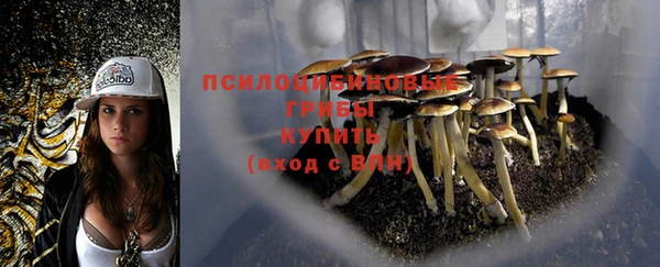 ГАЛЛЮЦИНОГЕННЫЕ ГРИБЫ Абдулино