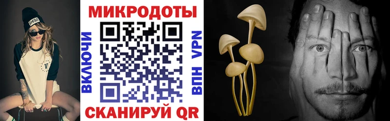hydra tor  где найти наркотики  Заозёрный  Псилоцибиновые грибы Cubensis 